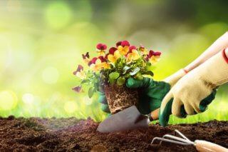 safe gardening - physiotherapy toronto
