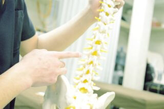 chiropractic for low back pain toronto