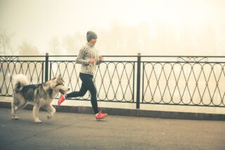 exercise with dog toronto