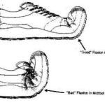 Flexion Stability - Fold Test
