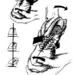Torsional Rigidity - Dishrag Test