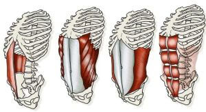 core strength and low back pain