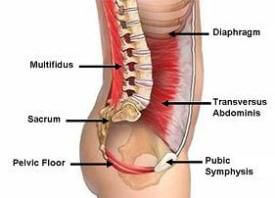 deep core muscles