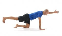 bird dog | Rebalance Sports Medicine bird dog