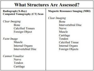 structures assessed