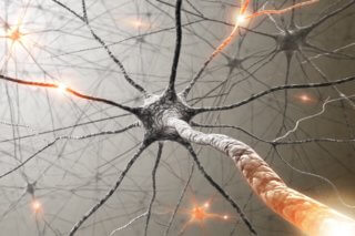 nerves and pain