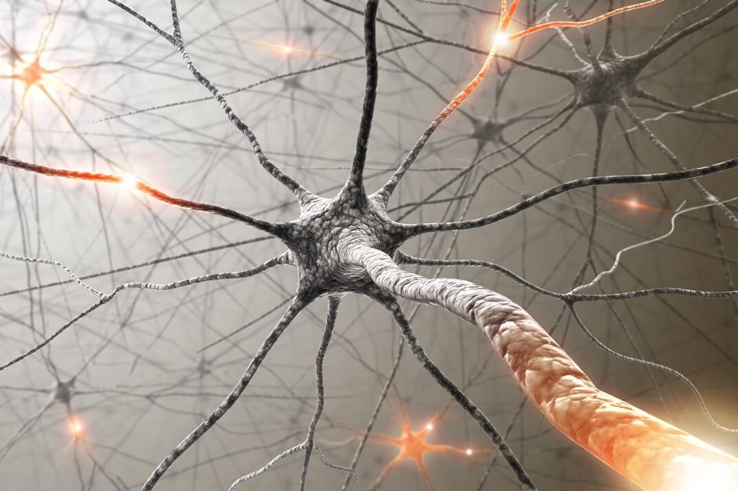nerves-and-pain-1.jpg
