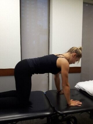 core strengthening - bird dog 1