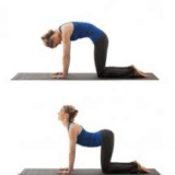 cat camel exercise