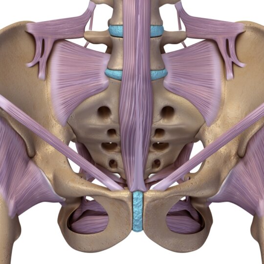 Pregnancy and Pelvic Physiotherapy: Prehab for Labour!